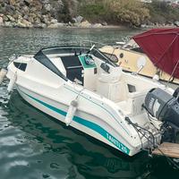 Pilotina cabinata Thaiti 20