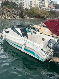 Pilotina cabinata Thaiti 20