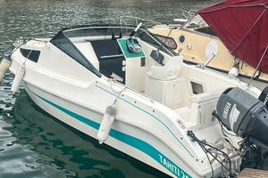 Pilotina cabinata Thaiti 20