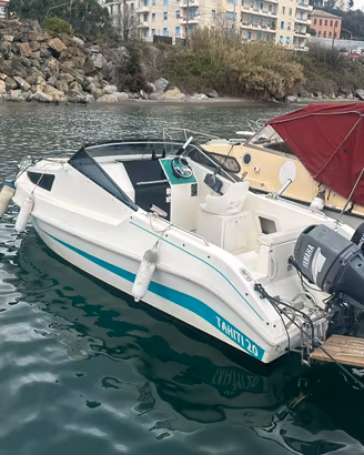 Pilotina cabinata Thaiti 20