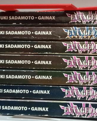Set 7 fumetti Evangelion Collection -Manga