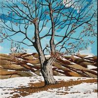 "Quercia con neve" dipinto di Lorenzo Mesini