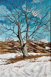 "Quercia con neve" dipinto di Lorenzo Mesini