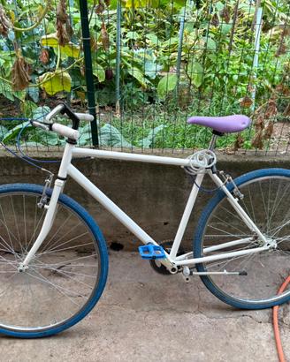 Bici uomo