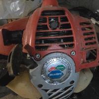 scuotitore olive a zaino, motor scoppio con gancio