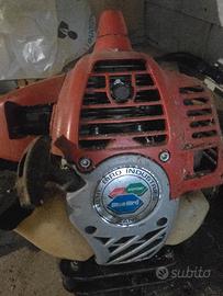 scuotitore olive a zaino, motor scoppio con gancio