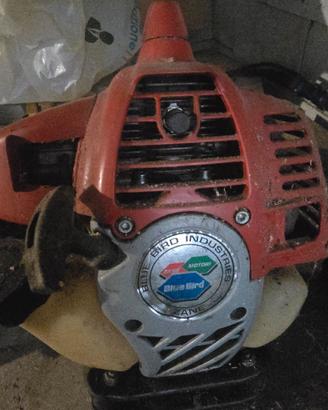scuotitore olive a zaino, motor scoppio con gancio
