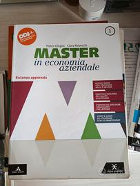 RIBASSATO Master in economia aziendale vol 1 & 2