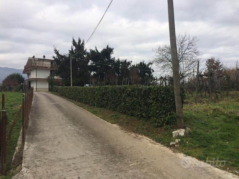 Rustico e terreno Monti Lepini - Vista 5