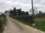Immagine 5