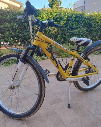 bicicletta ragazzo 24 pollici