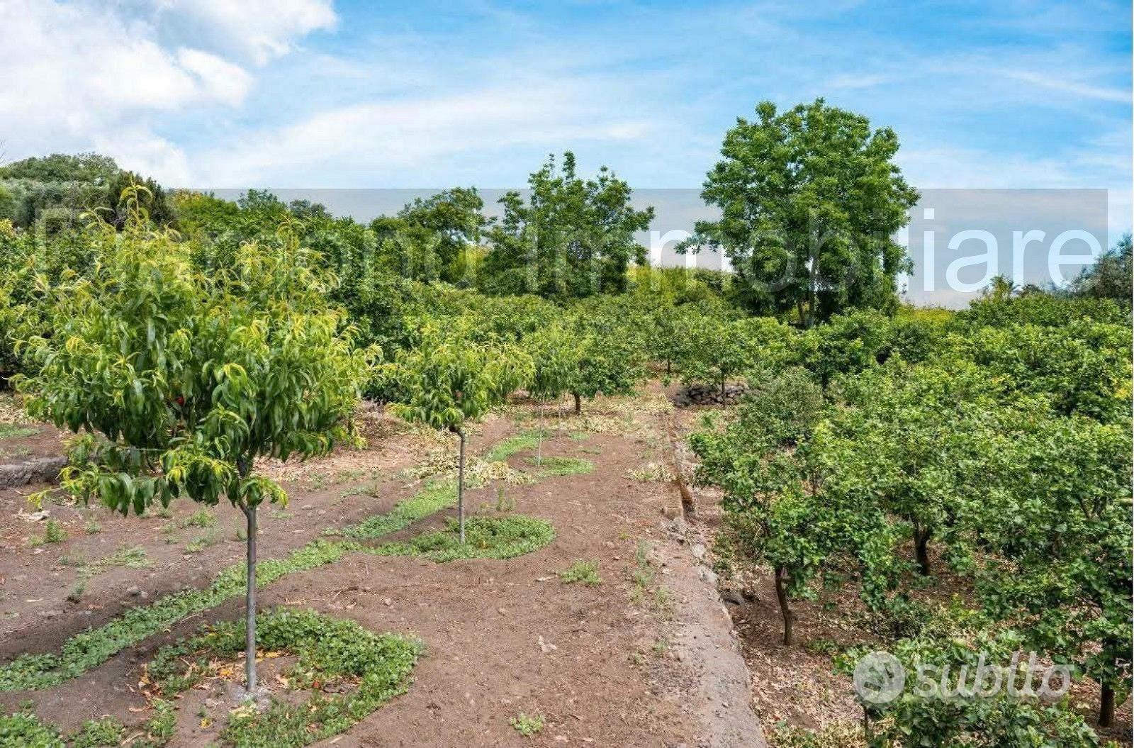Terreno panoramico con fabbricato a Mascali - Vista 4