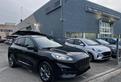 FORD Kuga 2.0 EcoBlue 120 CV aut. ST-Line