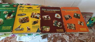 Enciclopedia VITA MERAVIGLIOSA