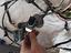 Immagine 3