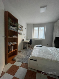 Rovereto stanza singola coeso Bettini