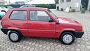 fiat-panda-1100-i-e-cat-young