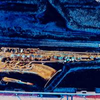 Sax tenore revisionato + accessori
