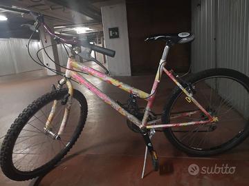 Mountain bike usata