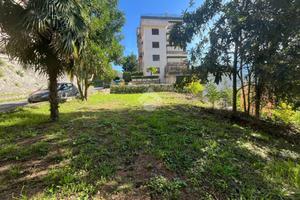 TER. AGRICOLO A SUBIACO