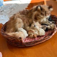 Peluche gattini