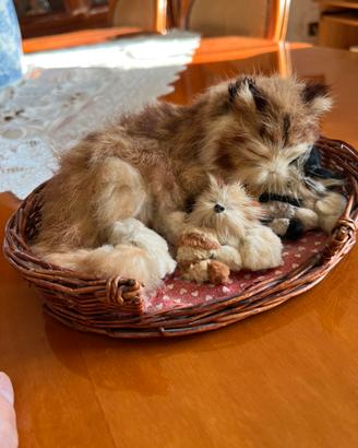 Peluche gattini