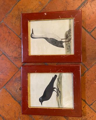 Stampe antiche
