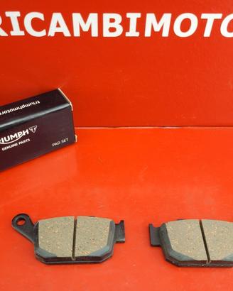 2 PASTIGLIE TRIUMPH TIGER 800 DAYTONA