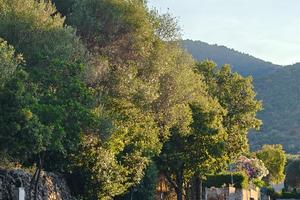 Terreno a Padru via Firenze Aspiddalzu