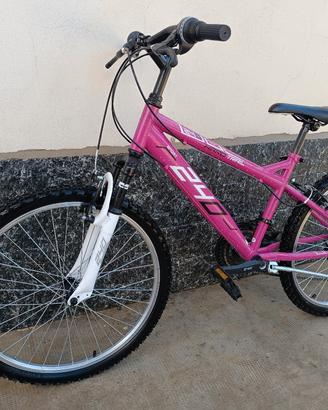 MTB ragazza 24