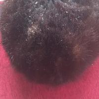 Cappello (come da foto)