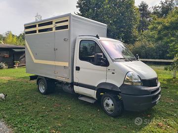 VAN RENAULT TRASPORTO CAVALLI ANIMALI