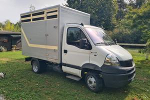 VAN RENAULT TRASPORTO CAVALLI ANIMALI