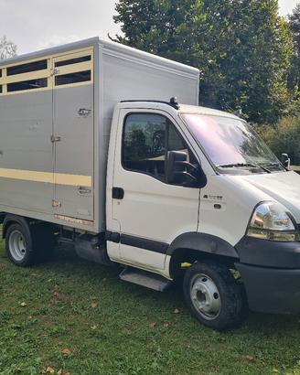 VAN RENAULT TRASPORTO CAVALLI BESTIAME