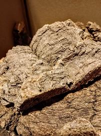 Sughero grezzo x fai da te