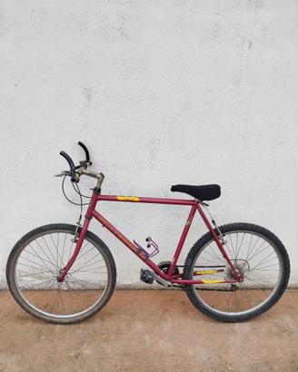 🚲MTB Vintage Bottecchia '90 - Telaio Acciaio
