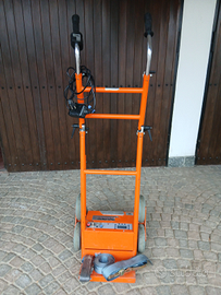 Carrello elettrico
