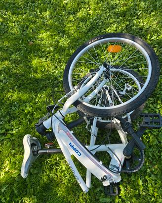 bicicletta pieghevole car bike