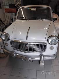 Fiat 1100 (Anno 1961)