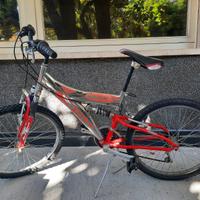 Mountain bike