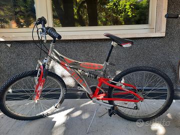 Mountain bike