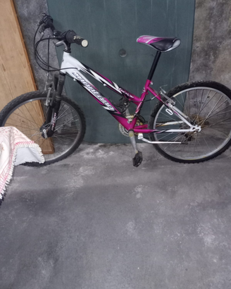 Bicicletta bimba fucsia e nera
