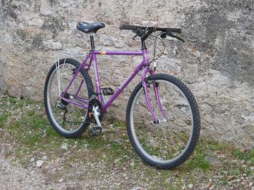 Bicicletta mountain bike viola