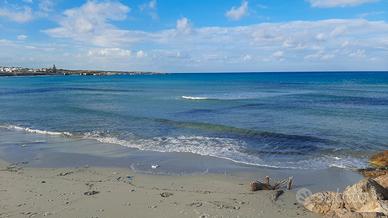 Impiegato d'ufficio - Supporto al Cliente