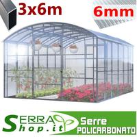 Serra tunnel box casetta 6x3 policarbonato pesante