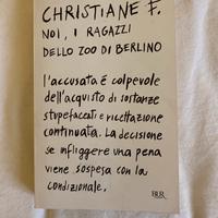 Noi i ragazzi  dello zoo di berlino