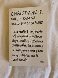 Noi i ragazzi  dello zoo di berlino