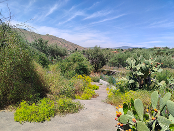 Terreno agricolo 4000 mq recintato