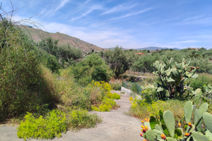 Terreno agricolo 4000 mq recintato