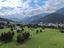 Immagine 18
